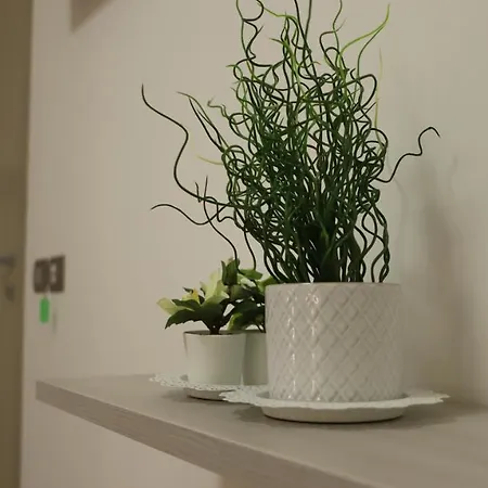 My House Couette-café 4*